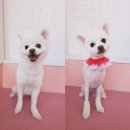 아토살롱 이미지