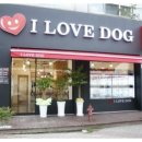 아이러브독 강아지 부천점 이미지