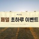 초평 수의마을~구정초교 | 노을지는 숙소에서 건생샷 건지기! 페텔의 초하루 이벤트 소개
