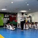용인대 동아태권도장 이미지
