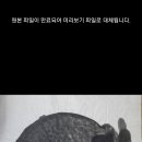미주사 티스토리