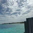 명성제1체육관 | 몰디브 신혼여행 5일차: 힐튼 몰디브 아밍기리 리조트 후기 - Habitat 저녁 메뉴 및 식사 후기, GYM 방문기