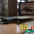 엉클슈즈 이미지