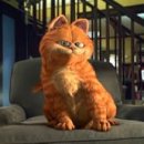 pet209로1978 이미지