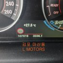 엘모터스(L-MOTORS) 이미지