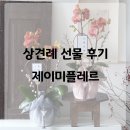 제이미플레르