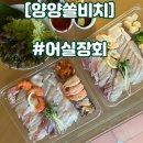 어실장회 | 양양 쏠비치 맛집 어실장회 회포장은 무조건 여기!