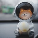 허브음악교습소 이미지