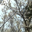 서대문구보건소 | 일산마리아 시험관 사실혼 난임부부 시술비 지원 신청 서류준비(서울 서대문구 보건소)