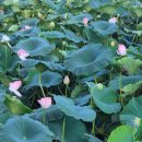 그때 그 펜션 이미지