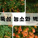 서울용답초등학교