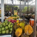 서정작은도서관 | [호주 여행 2편] 시드니 – 케언즈 – 멜버른 여행 계획 / 세부 일정표 / 여행지 별 평점 / 여행 일정...