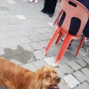 보담 이미지