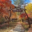 덮다 티스토리