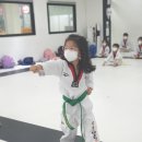 ALL바른 태권도장 이미지