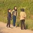 도척면-1 이미지