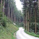 영화마을 이미지