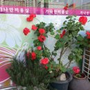 가나안미용실 - 고양시 덕양구 | 가나안미용실