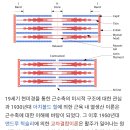 재업)근수축속도장력 피셜 레이저 정전기,전기주파수 사이비종교가 카이스트,대한비뇨학회에서 동맥근 둘레들을 의미하는 기사에도 억지로끼어드는 이미지