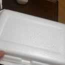 뉴올리브숲 이미지