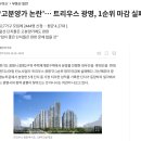 구로-현장-구로-1051 | [임장후기] 경기 광명뉴타운 2구역 (트리우스광명) 입주장을 맞이하여 (feat. 현재의 부동산 시장 모습)