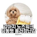 플라워펫 | 강아지 노즈워크 장난감 추천｜딩동펫 플라워 푸드 롤러 사용 후기