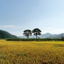 섬진강자전거길5 이미지