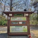 미스터피자화원점 | [대구/달성군]하루이용료 7천원 애견동반 캠핑&피크닉장 사문진 나루터 예약ㆍ여행지추천