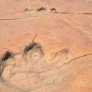 에스소노라인 이미지