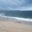 영진1리 이미지