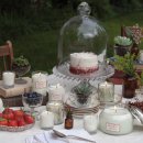 라이프생활용품 이미지