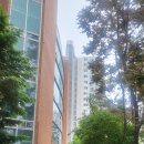 기쁨의 교회 앞 보도 이미지