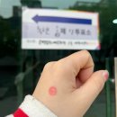 백석복싱체육관 | 2024년 04월의 일상1, &#34;봄봄봄&#34;
