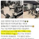 마이트피트니스 이미지