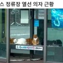 신흥상가 네이버블로그