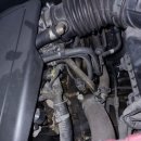 다가스모터스 이미지