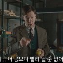 숲속과사람