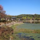 설봉공원 이미지