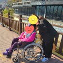 백운프라자 | 독거어르신산책으로 만난 11월의 하루, 백운호수에서 멈춘 시간