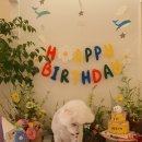 스페셜 퍼피 케이크 이미지