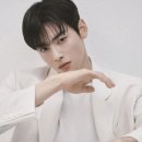 [단독]차은우 “130억 세금 냈지만 억울하다”…‘불복청구’ 이미지