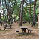 솔밭공원화장실 이미지