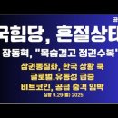 국힘,혼절상태/장동혁,"목숨걸고 싸워서 정권 탈환"/삼권동질화,한국상황 쿡/글로벌 유동성 급증/비트코인,...9.29월 [공병호TV] 이미지