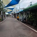 기풍3길 | 봉평 재래시장 맛집 리스트 추천 내돈내산 후기 (닭강정, 찐빵, 막국수 총출동)