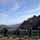 라파 코리아 이미지