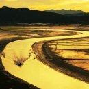 순천만풍경 이미지