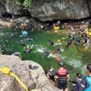 계림정야영장 이미지