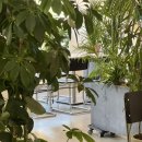 아시안 비트 | 홍대 파스타 맛집 추천 - 유러피안 아시안 음식점 “랑트”