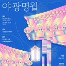능동로L 티스토리