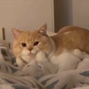 바라크베이커리카페